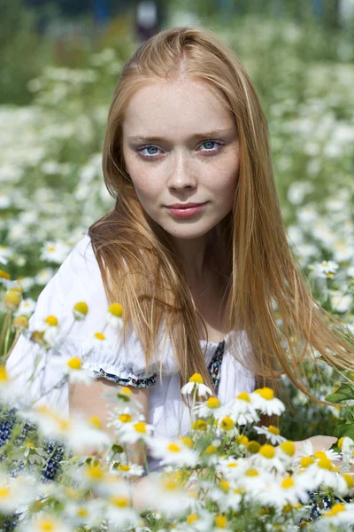 Young woman sitting in a field of chamomile — Stock Photo, Image