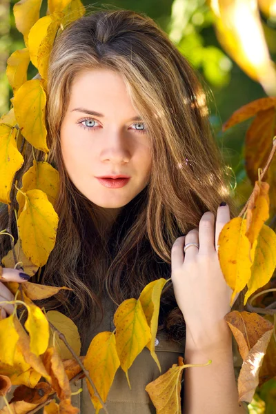 Piękny model z jesieni pozostawia i spadek żółtym tle ogród — Zdjęcie stockowe