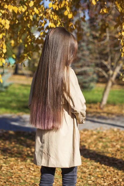 Back Rear View Brunette Hair Model Autumn Park Outdoor — Stock Photo, Image