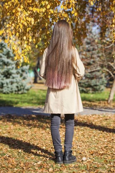 Vista Posterior Del Cabello Femenino Largo Hermoso Contra Fondo Parque —  Fotos de Stock