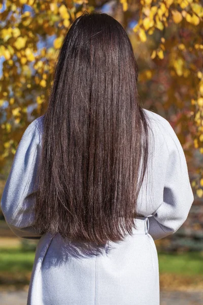 Modèle Cheveux Brune Vue Dos Jeune Femme Parc Automne Extérieur — Photo