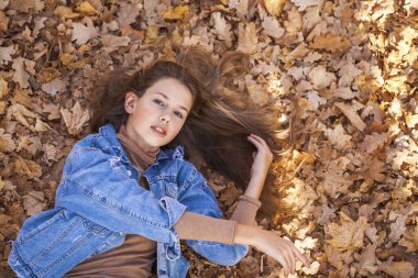 Üst manzara, sonbahar sarı yapraklarının arka planında güzel bir genç kızın portresi.