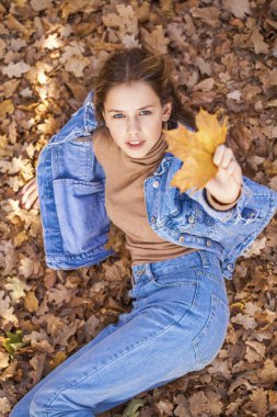 Üst manzara, sonbahar sarı yapraklarının arka planında güzel bir genç kızın portresi.