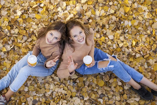 Duas Meninas Elegantes Jovens Parque Outono — Fotografia de Stock