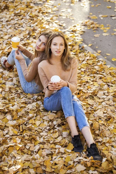 Full Body Portret Vriendinnen Twee Jonge Vrouwelijke Studenten Ontmoetten Elkaar — Stockfoto