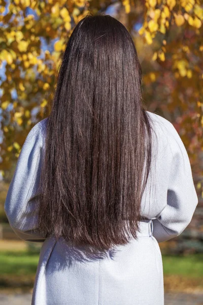 Modèle Cheveux Brune Vue Dos Jeune Femme Parc Automne Extérieur — Photo