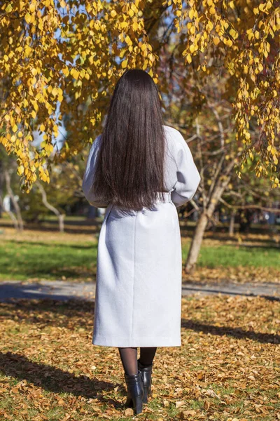 Modèle Cheveux Brune Vue Dos Jeune Femme Parc Automne Extérieur — Photo