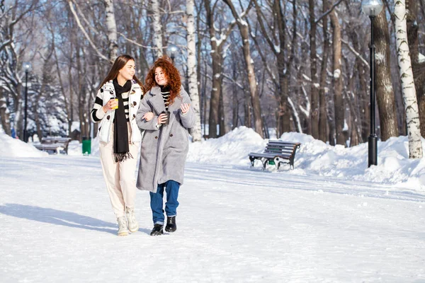 Due Giovani Ragazze Allegre Stanno Camminando Nel Parco Invernale — Foto Stock