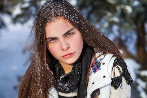 Retrato Una Joven Hermosa Parque Invierno —  Fotos de Stock
