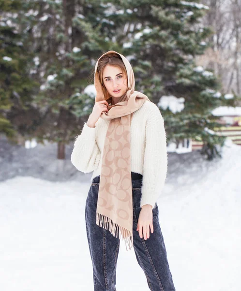 Retrato Jovem Bela Menina Posando Parque Inverno — Fotografia de Stock