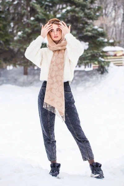 Портрет Молодої Красивої Дівчини Позує Зимовому Парку — стокове фото