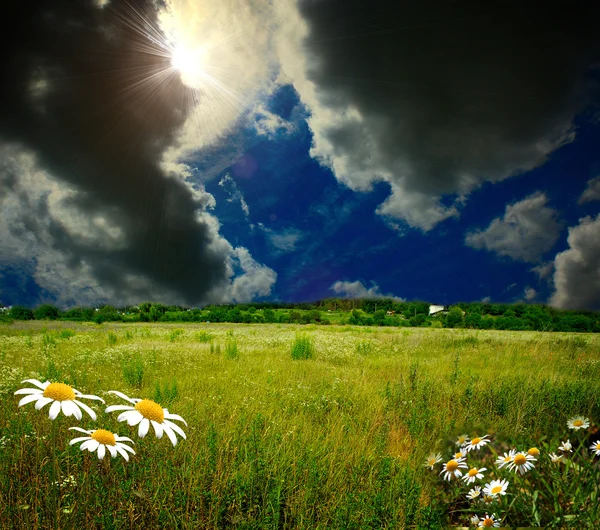 Zöld mező kék ég — Stock Fotó