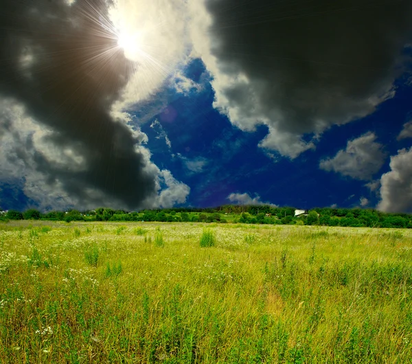 Green field with blue sky — Stock Photo, Image