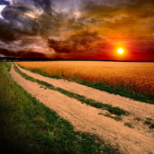 Route au sol au coucher du soleil — Photo