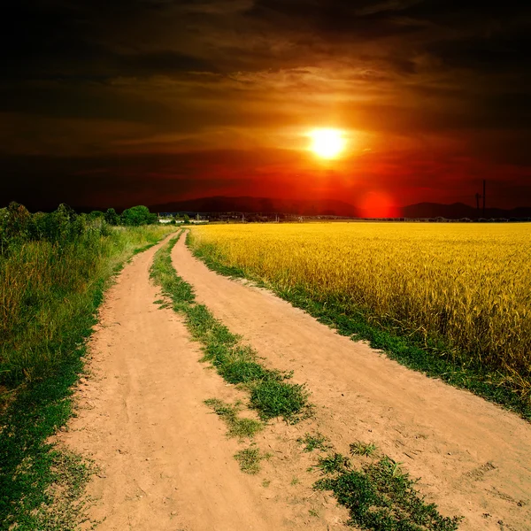 Marken road i fältet — Stockfoto