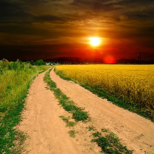 Marken road i fältet — Stockfoto