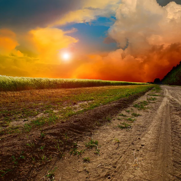 Ground road at sunset Royalty Free Stock Images