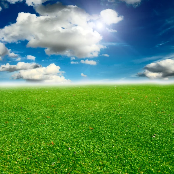 Campo verde con cielo azul —  Fotos de Stock