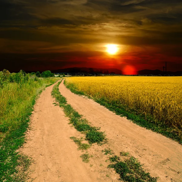 Marken road i fältet — Stockfoto