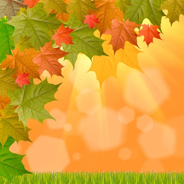 Yellow autumn background — Stock Photo, Image