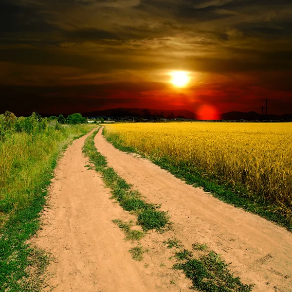 Ground road in field Royalty Free Stock Images