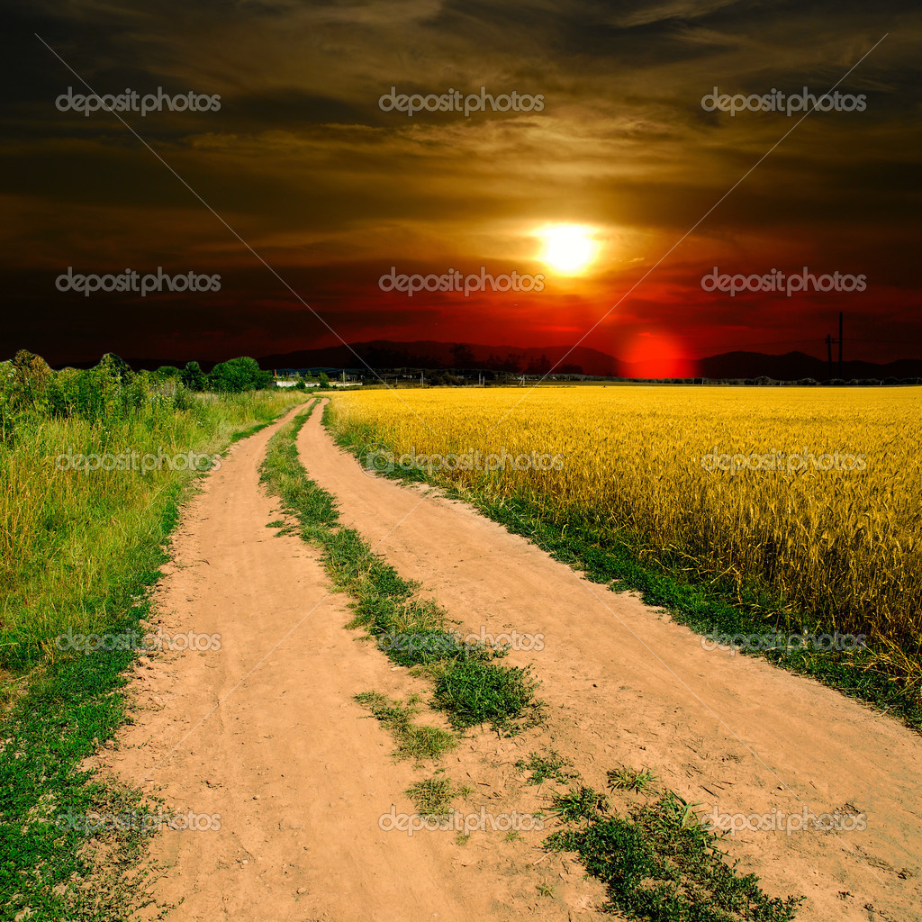 Ground road in field Stock Photo by ©jonson 13615967