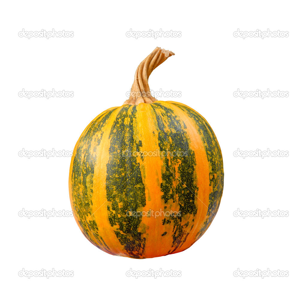 the yellow pumpkin