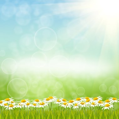 Yeşil natute arka plan