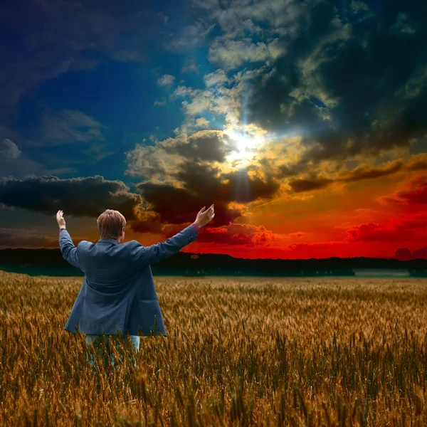 Hombre de negocios en el campo — Foto de Stock