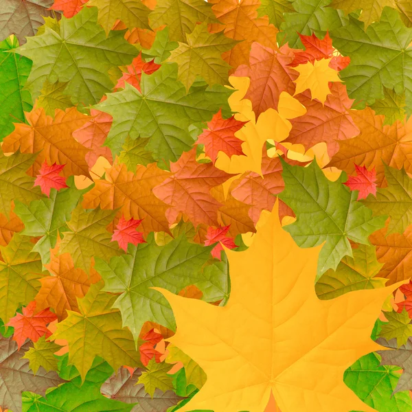 Yellow autumn background — Stock Photo, Image