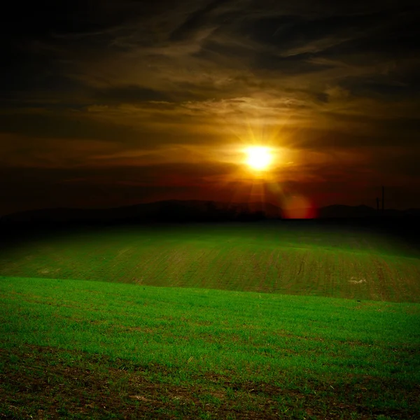 Campo verde ao pôr do sol — Fotografia de Stock