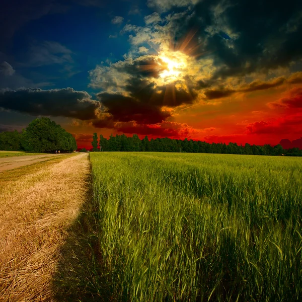 Grond weg bij zonsondergang — Stockfoto