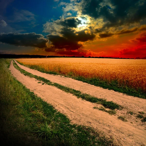 Ground road at sunset — Stock Photo, Image