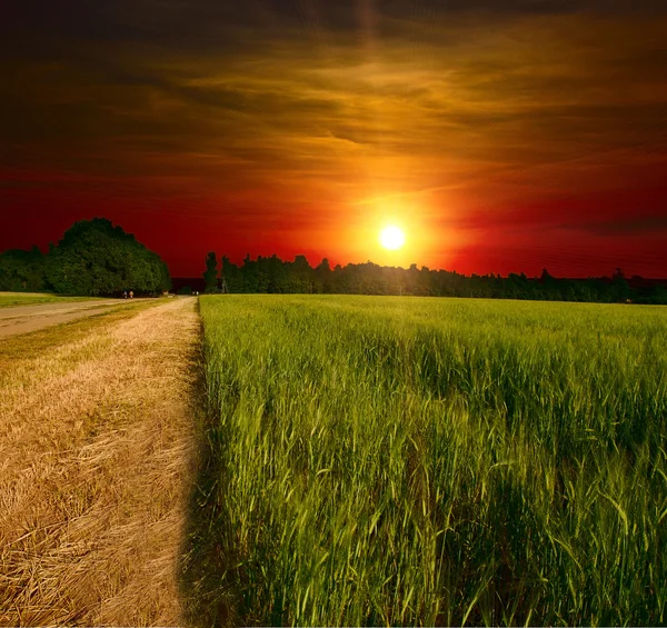 Strada di terra al tramonto — Foto Stock