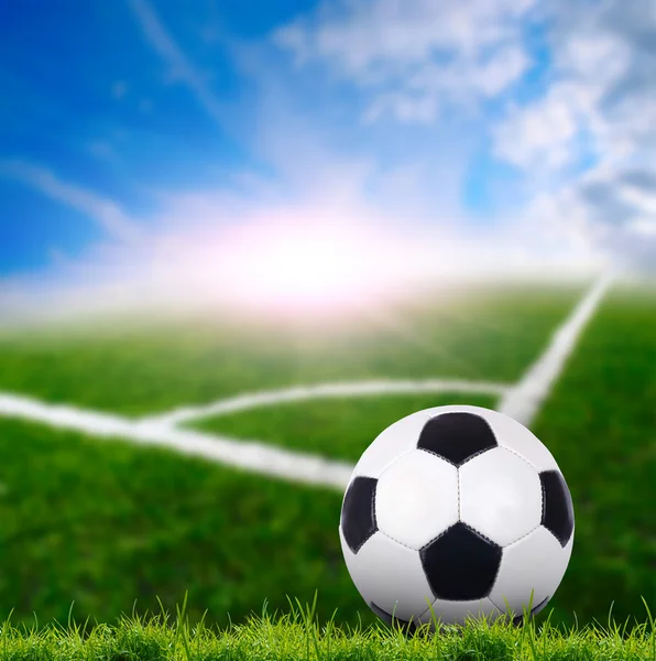 Soccer ball on the green grass — Stock Photo, Image