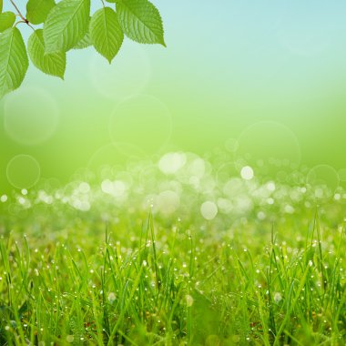 Yeşil natute arka plan