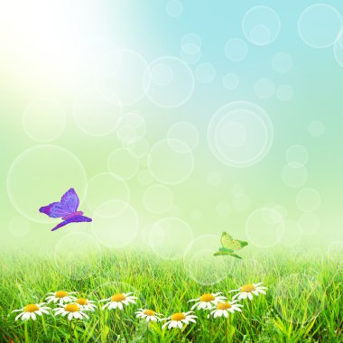 Yeşil natute arka plan