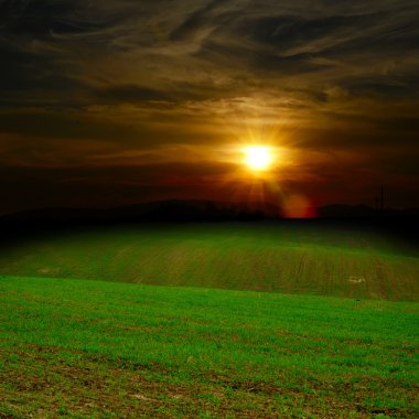 gün batımında yeşil alan