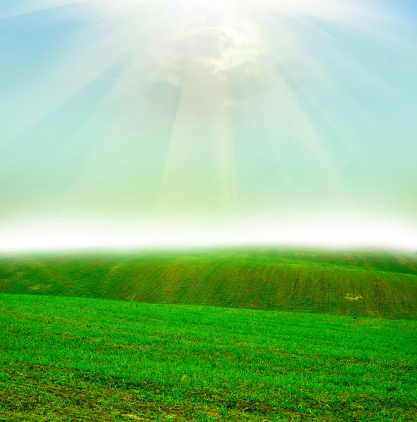 Veld bij zonsondergang — Stockfoto