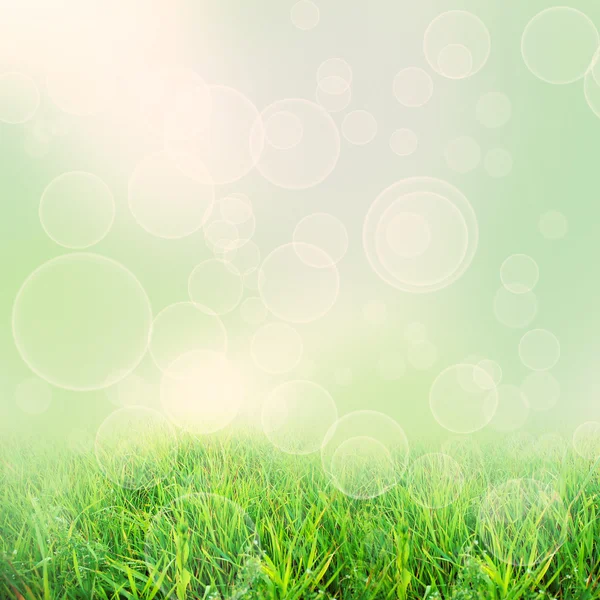 Yeşil natute arka plan — Stok fotoğraf
