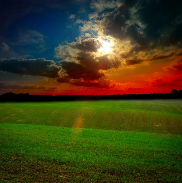 夕暮れ時の畑 — ストック写真