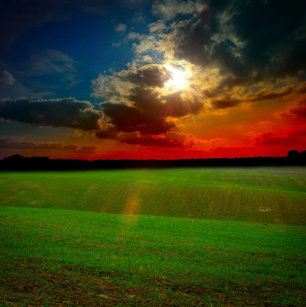 Veld bij zonsondergang — Stockfoto