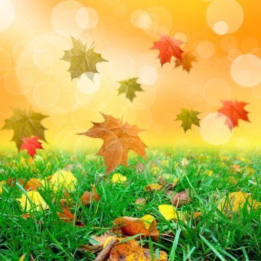 green grass with thw leafs clipart