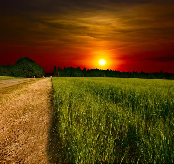 Grond weg bij zonsondergang — Stockfoto