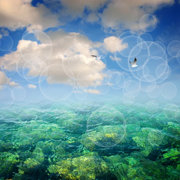 Modré letní moře — Stock fotografie