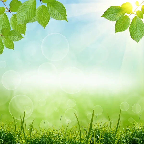 Grüner Hintergrund — Stockfoto