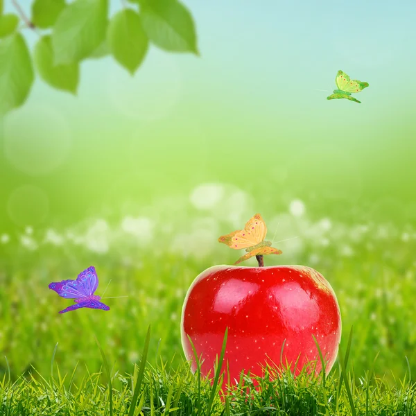 Red apple on green grass — Stock Photo, Image