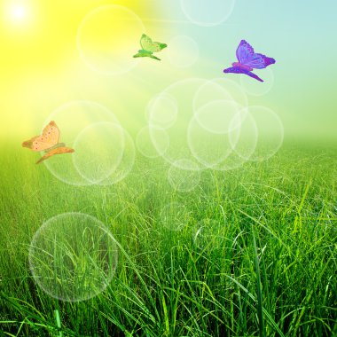 Yeşil natute arka plan