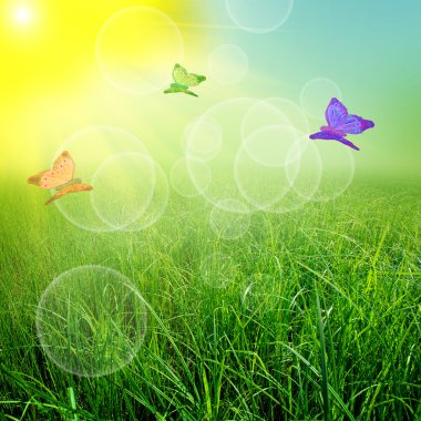 Yeşil natute arka plan