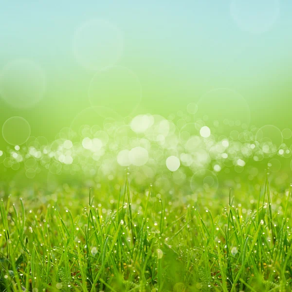 Green natute background — Stock Photo, Image